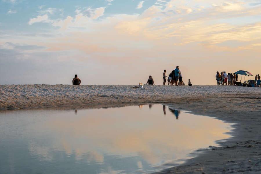 Budget Friendly Condo Within Walking Distance To The Beach! Gulf Shores Eksteriør bilde