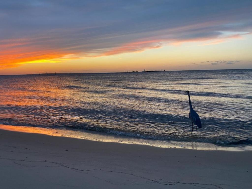 Budget Friendly Condo Within Walking Distance To The Beach! Gulf Shores Eksteriør bilde